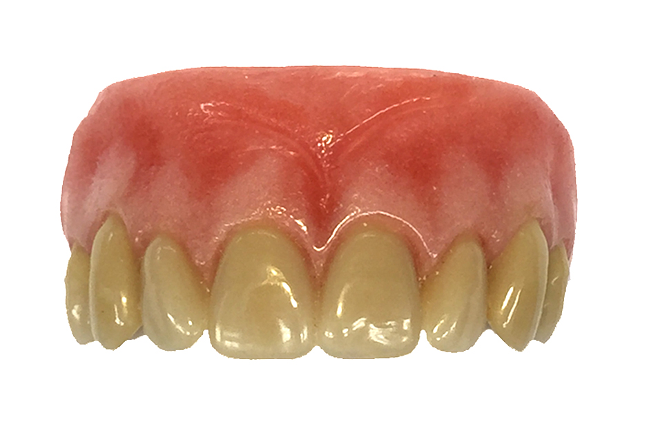Enigma Gingival Tint