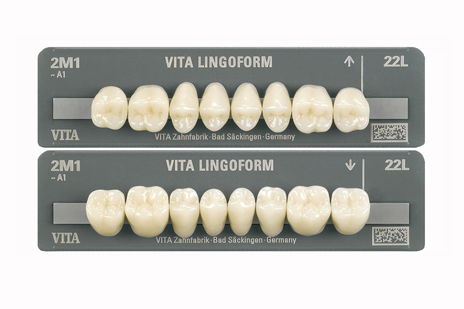 Vita Mft Mould Chart